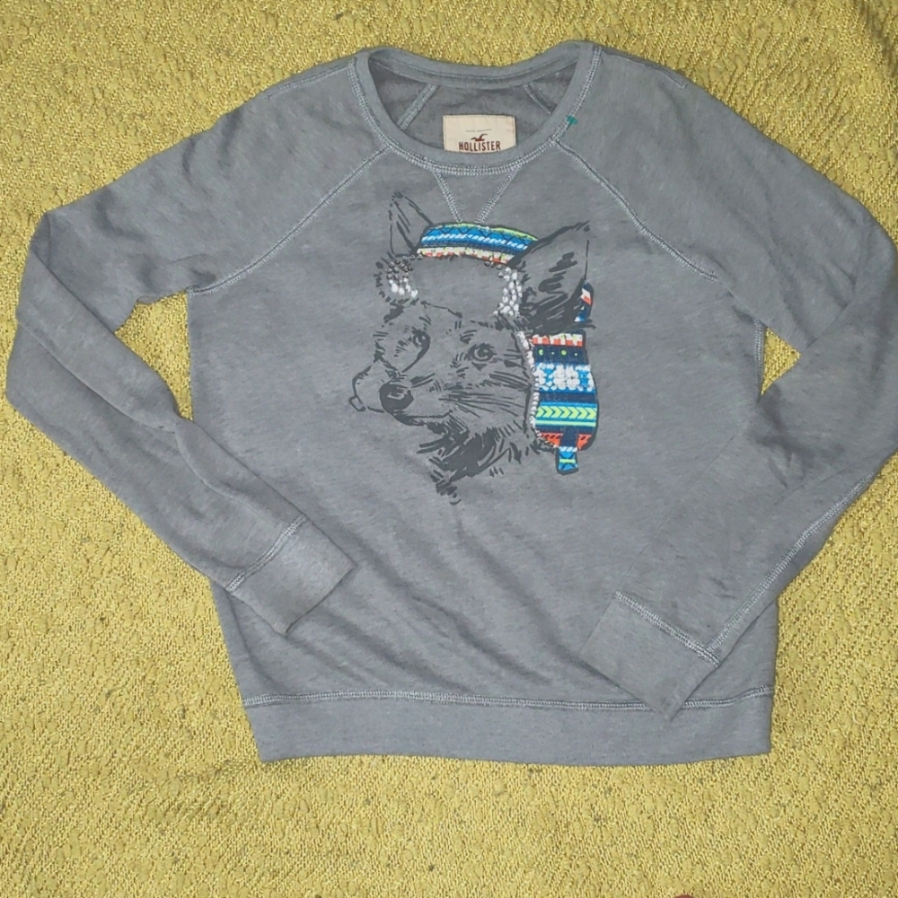 Hollisterong sleeves shirt  kids